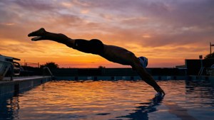 Sunset Dive Silhouette