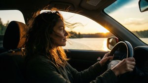 Sunset Drive