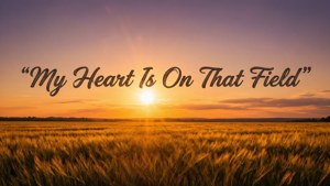 Sunset Field Quote