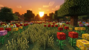 Sunset Flower Forest