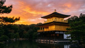 Sunset Gold at Kinkaku-ji