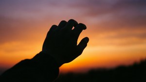Sunset Grab Silhouette