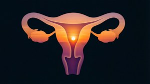 Sunset Gradient Uterus