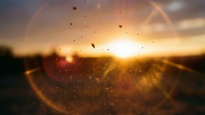Sunset Lens Flare