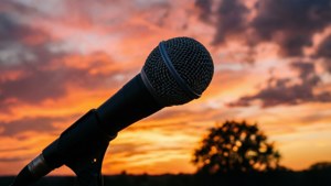 Sunset Mic Silhouette