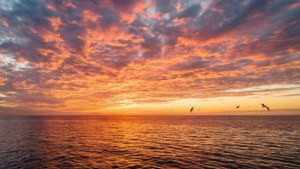Sunset Ocean Sky