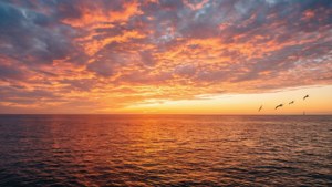 Sunset Ocean Sky