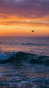 Sunset Ocean Waves
