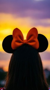 Sunset Orange Bow