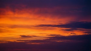 Sunset Orange Purple Fade