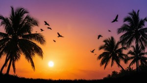 Sunset Palm Tree Border