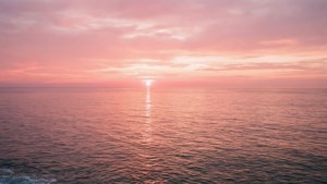 Sunset Pink Rose Gold Ocean