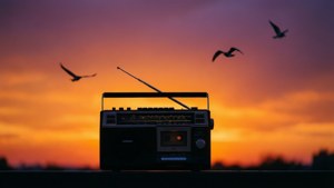 Sunset Radio Silhouette