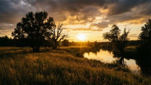 Sunset River Meadow