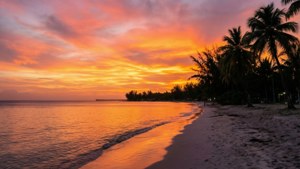 Sunset Serenity at Jamaica