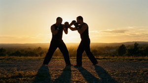 Sunset Shadow Boxing