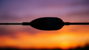 Sunset Silhouette