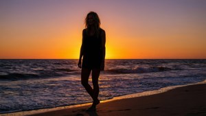 Sunset Silhouette