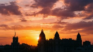 Sunset Silhouette
