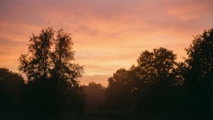 Sunset Silhouette