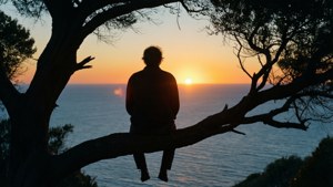 Sunset Silhouette