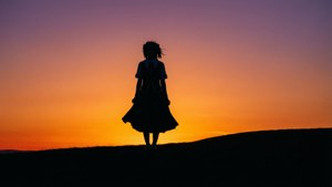 Sunset Silhouette