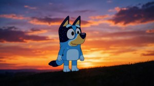 Sunset Silhouette