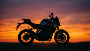 Sunset Silhouette