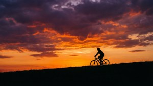 Sunset Silhouette