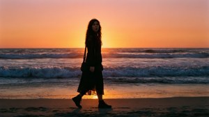 Sunset Silhouette