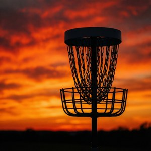 Sunset Silhouette Basket