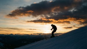 Sunset Silhouette