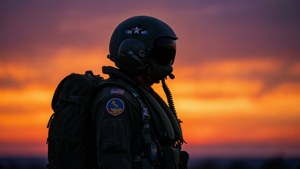 Sunset Silhouette Brite Bomber