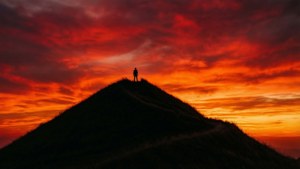 Sunset Silhouette