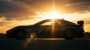 Sunset Silhouette
