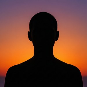 Sunset Silhouette