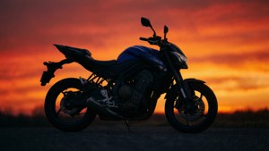 Sunset Silhouette