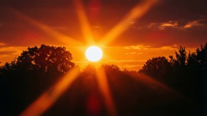 Sunset Silhouette Flare