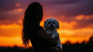 Sunset Silhouette Fur Mama