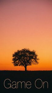 Sunset Silhouette Game On