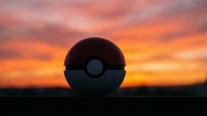 Sunset Silhouette Pokeball