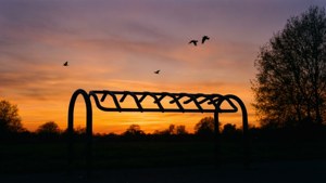 Sunset Silhouette Rack