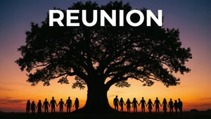 Sunset Silhouette Reunion Tree