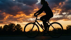Sunset Silhouette Ride