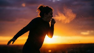 Sunset Silhouette Sneeze