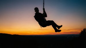 Sunset Silhouette Swing