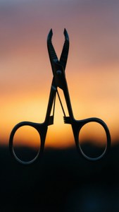 Sunset Silhouette Tweezer