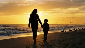 Sunset Silhouette Walk
