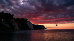 Sunset Silhouettes