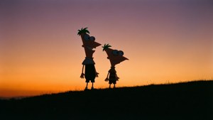 Sunset Silhouettes